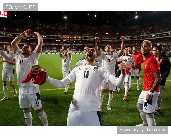 2014年美国对阵塞尔维亚精彩回放全程回顾与分析