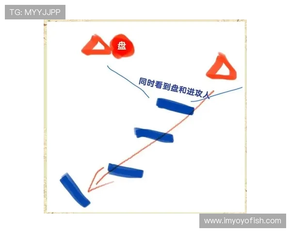 重庆飞盘队区域防守战术解析与实战应用深度剖析