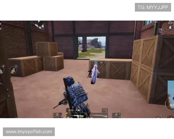 和平精英巨献：深入解析TES团队协作背后的秘密与策略