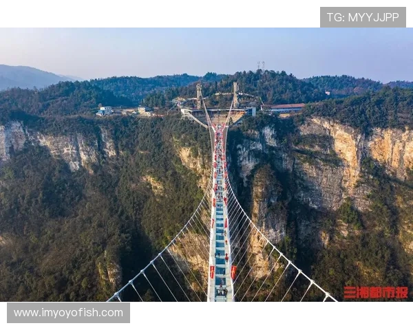 极限运动团队协作实力榜单发布杭州队荣登第六名引发关注